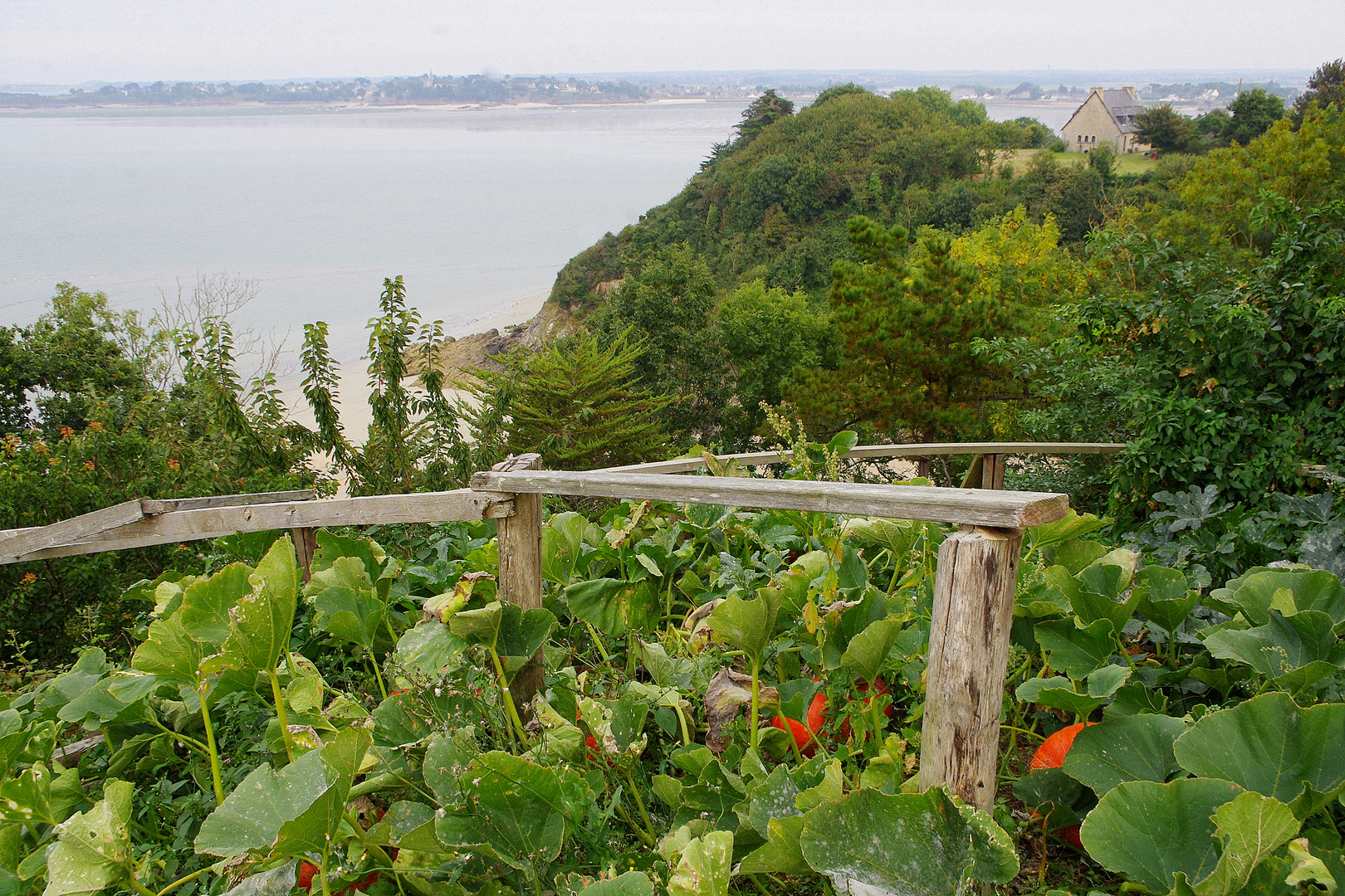 La Baie de l'Arguenon, Bretagne, Cotes d'Armor