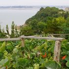 La Baie de l'Arguenon, Bretagne, Cotes d'Armor