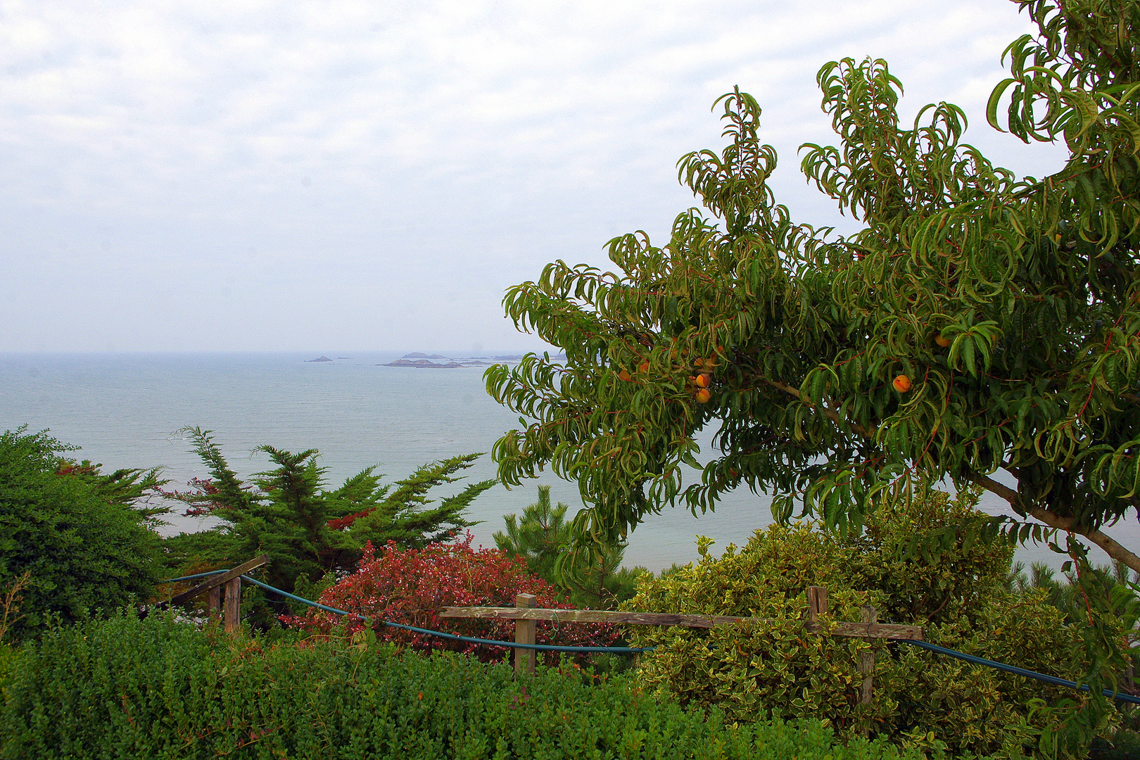 La Baie de l'Arguenon, Bretagne, Cotes d'Armor