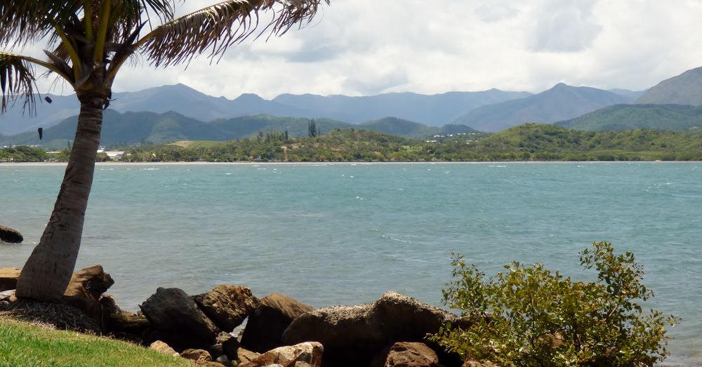 La baie de Magenta