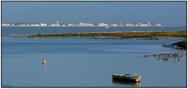 la baie de Somme