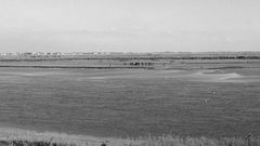 la baie de somme (black and white 4.2)