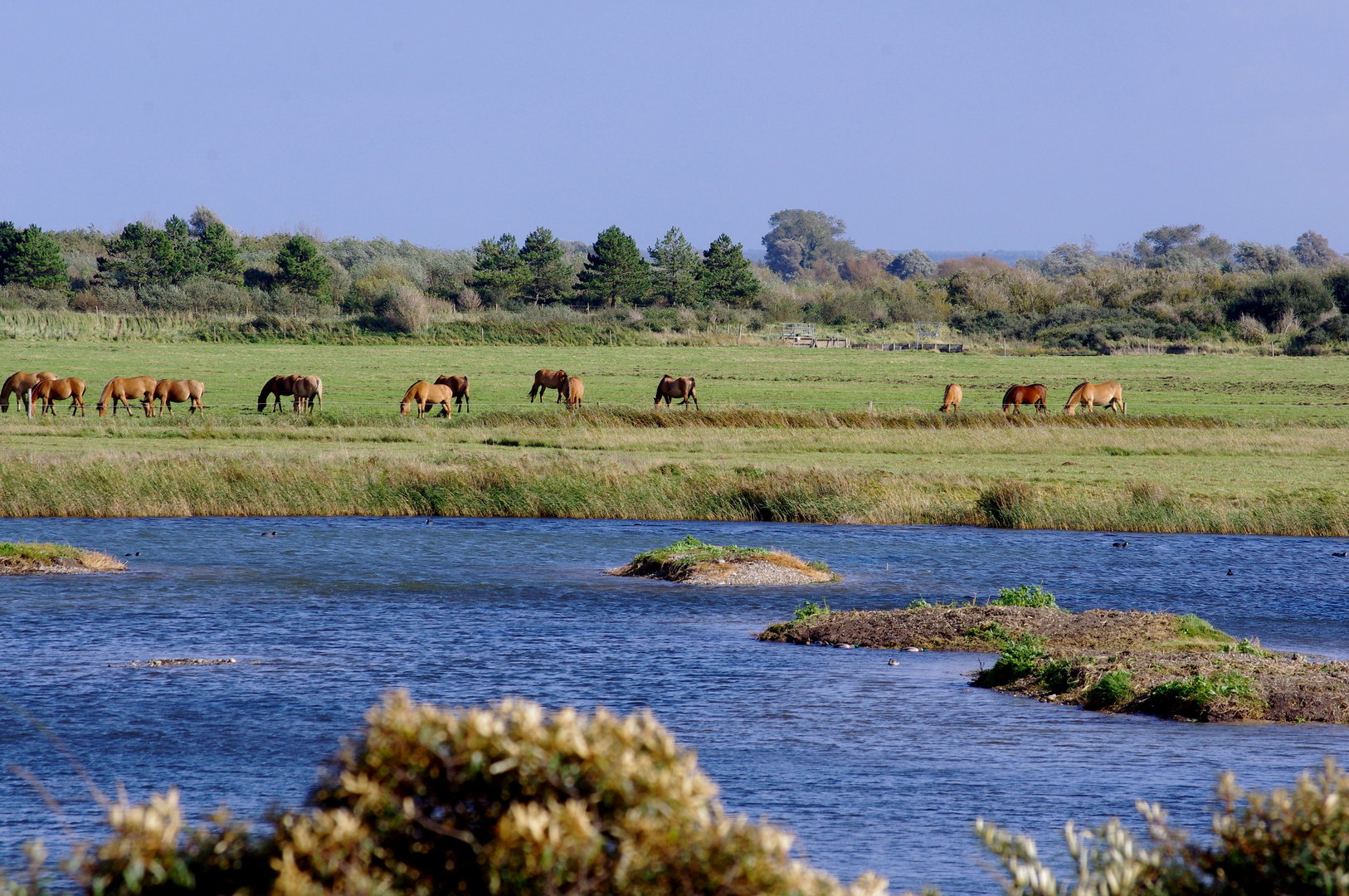 La Baie de Somme en automne