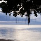 La baie des citrons par temps gris 2 - Die Zitronen-Bucht unter einem grauen Himmel 2