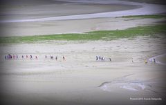 La baie du Mont Saint Michel