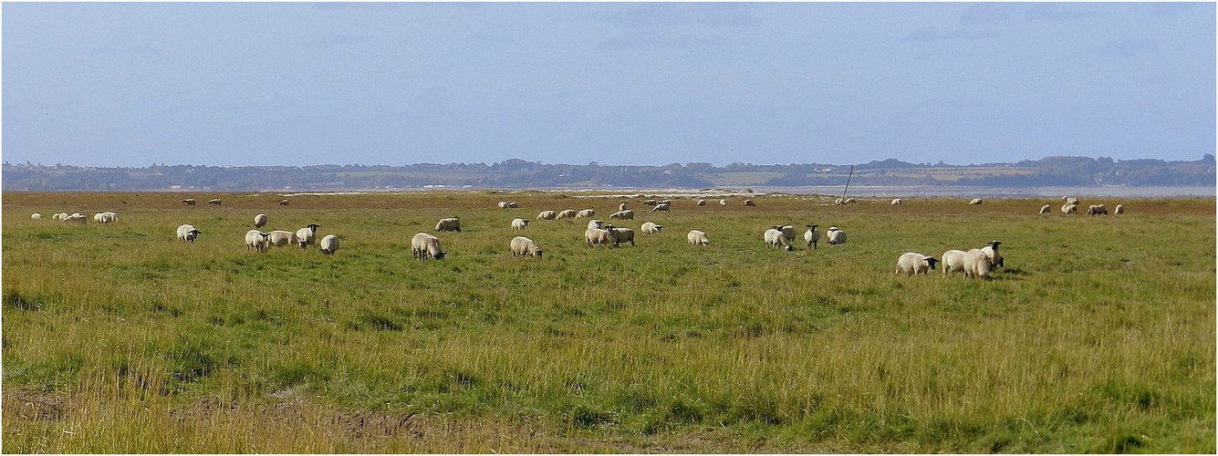 la baie du mont st michel