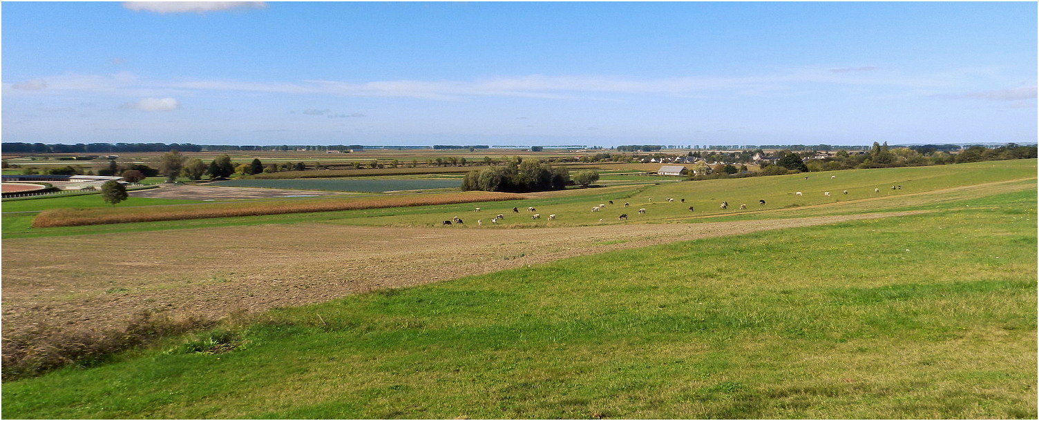 la baie du mont st michel