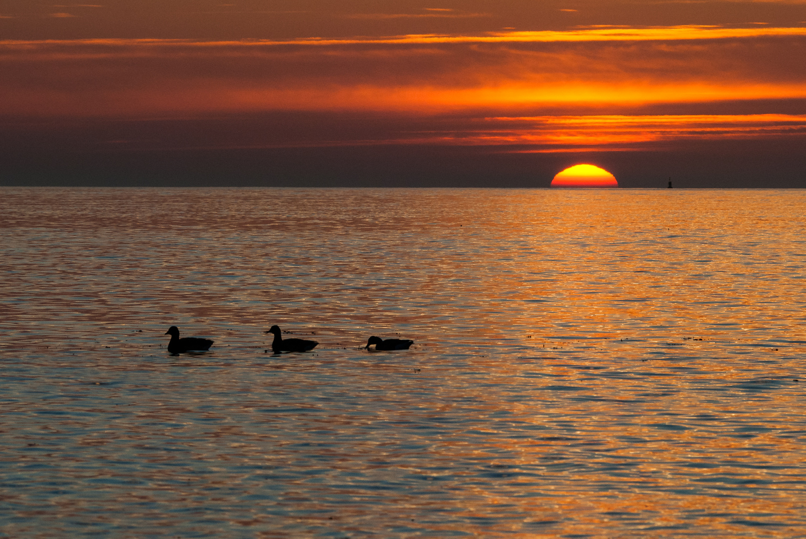 La baie séveille !