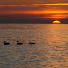 La baie séveille !