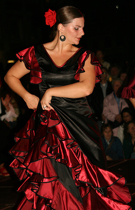 La bailaora de flamenco...