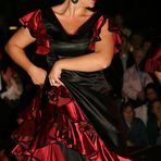 La bailaora de flamenco...