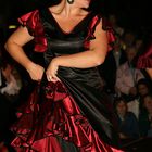 La bailaora de flamenco...