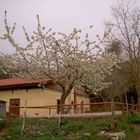 "La Baita del Faggio"  Parco delle Madonie (PA)