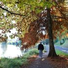 La balade à l'automne