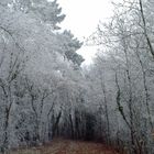 La balade blanche