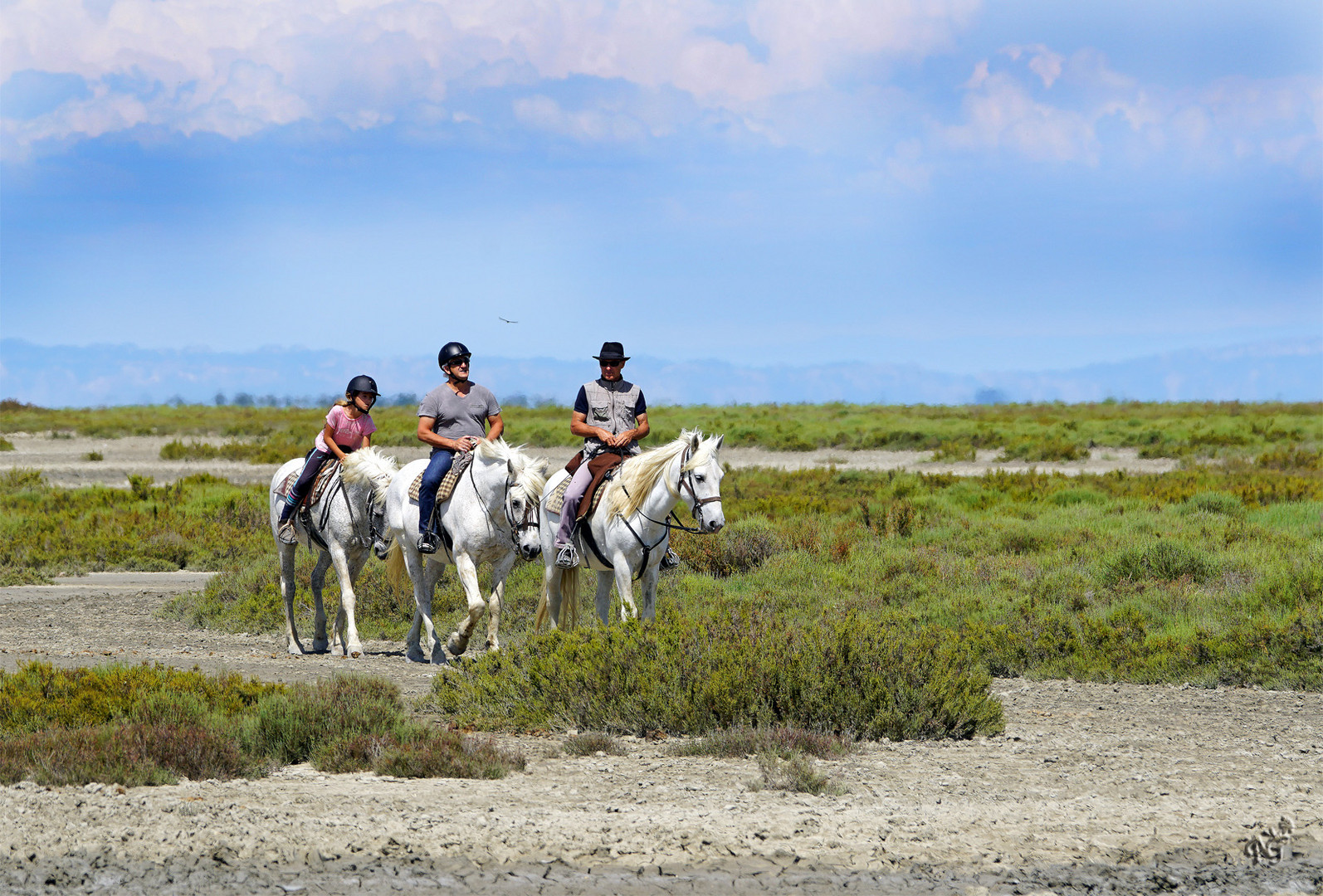 La balade Camarguaise