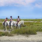 La balade Camarguaise