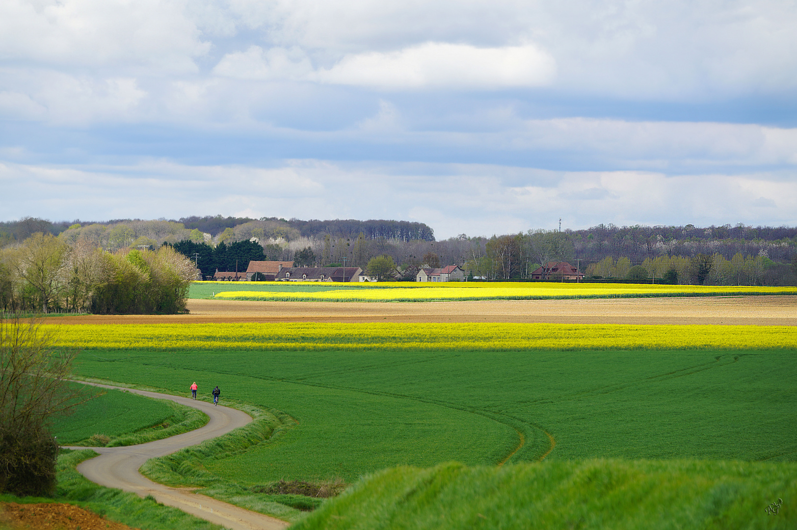 La balade dans la campagne Sarthoise 