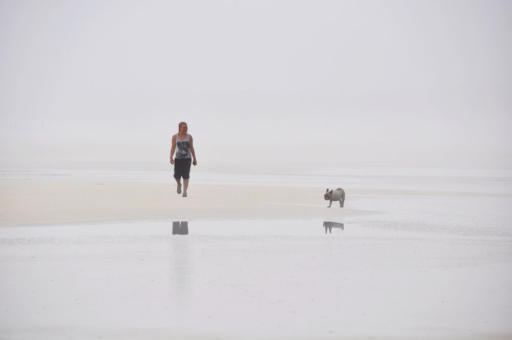 La balade du chien