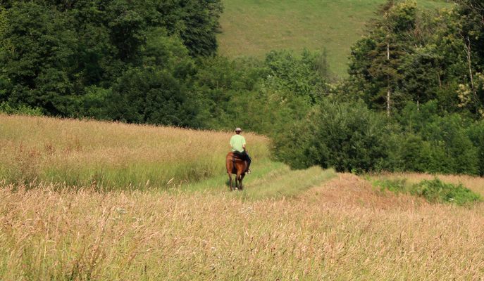 La balade tranquille dans la nature