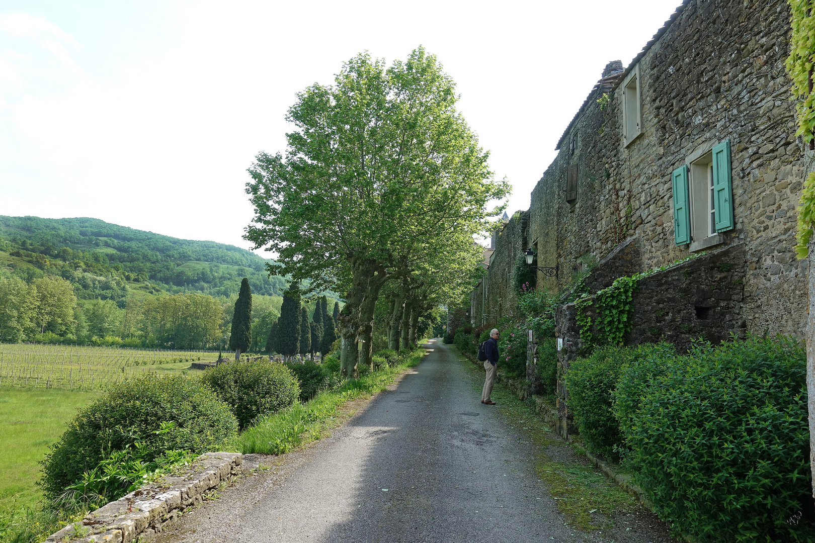 La Balade verte....