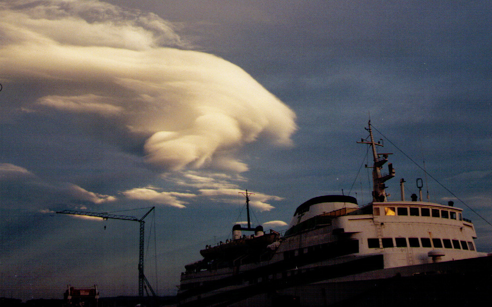 La baleine blanche attaque