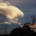 La baleine blanche attaque