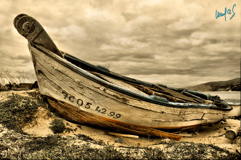 La barca