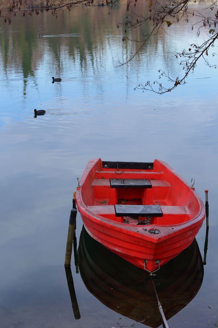 La barca