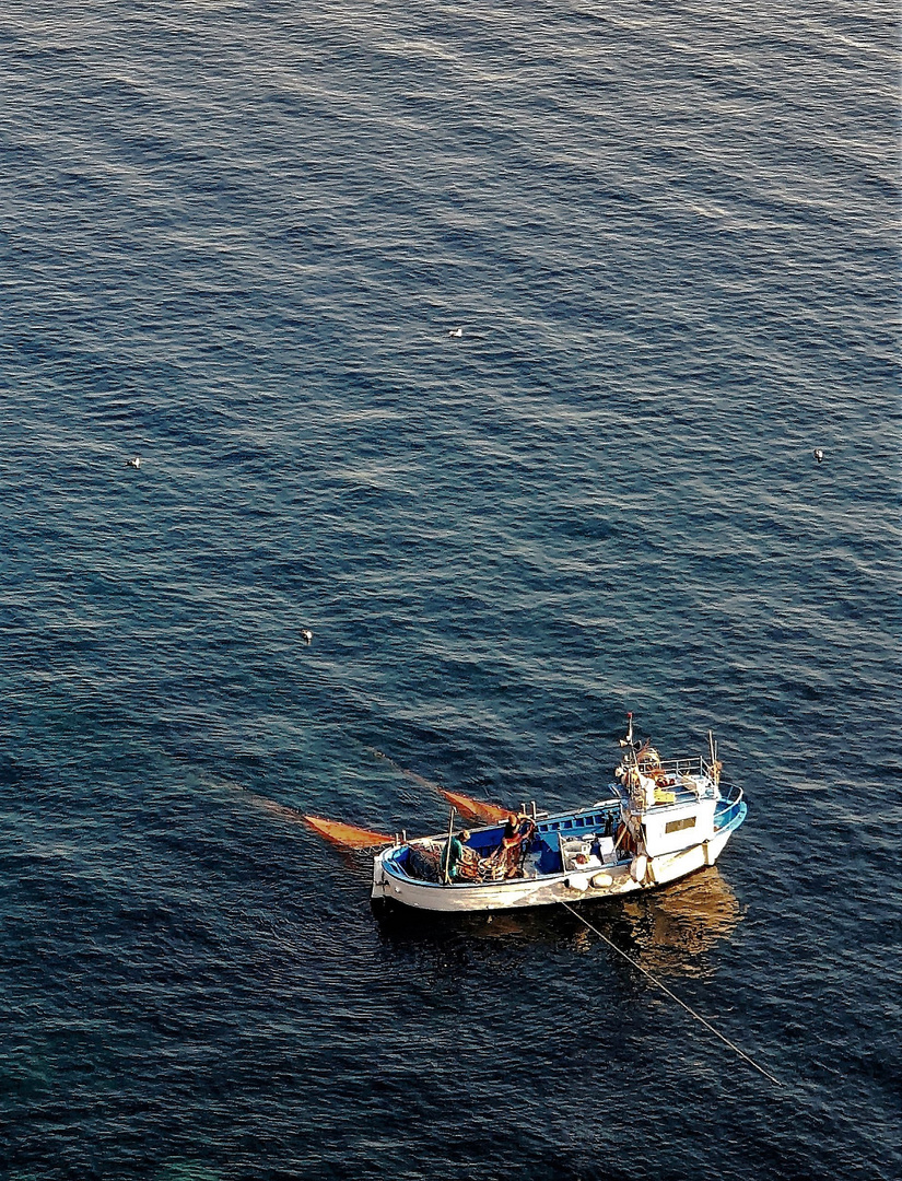 La barca da pesca ed i gabbiani