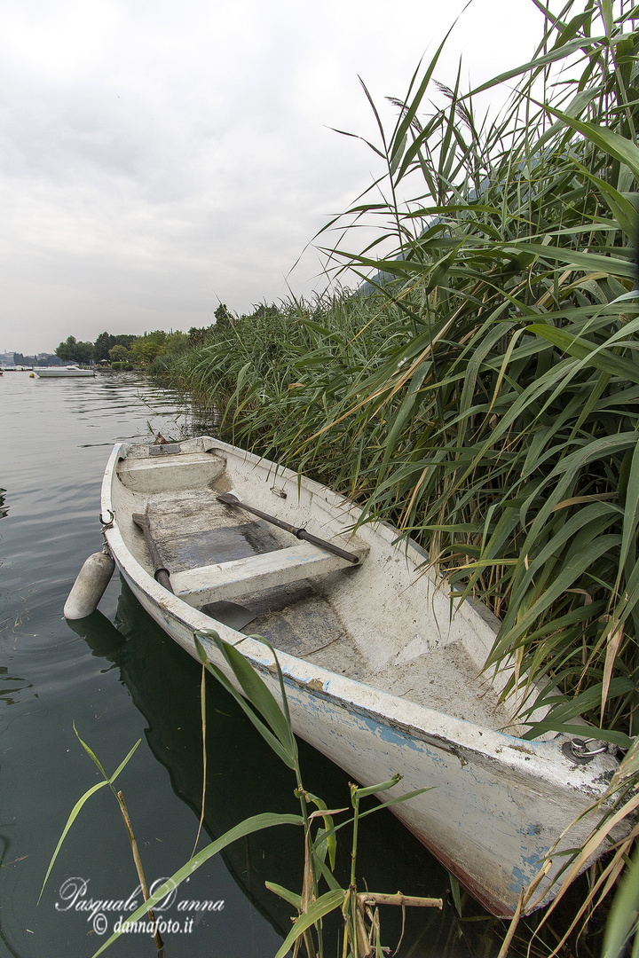 La barca