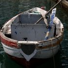 La barca del pittore