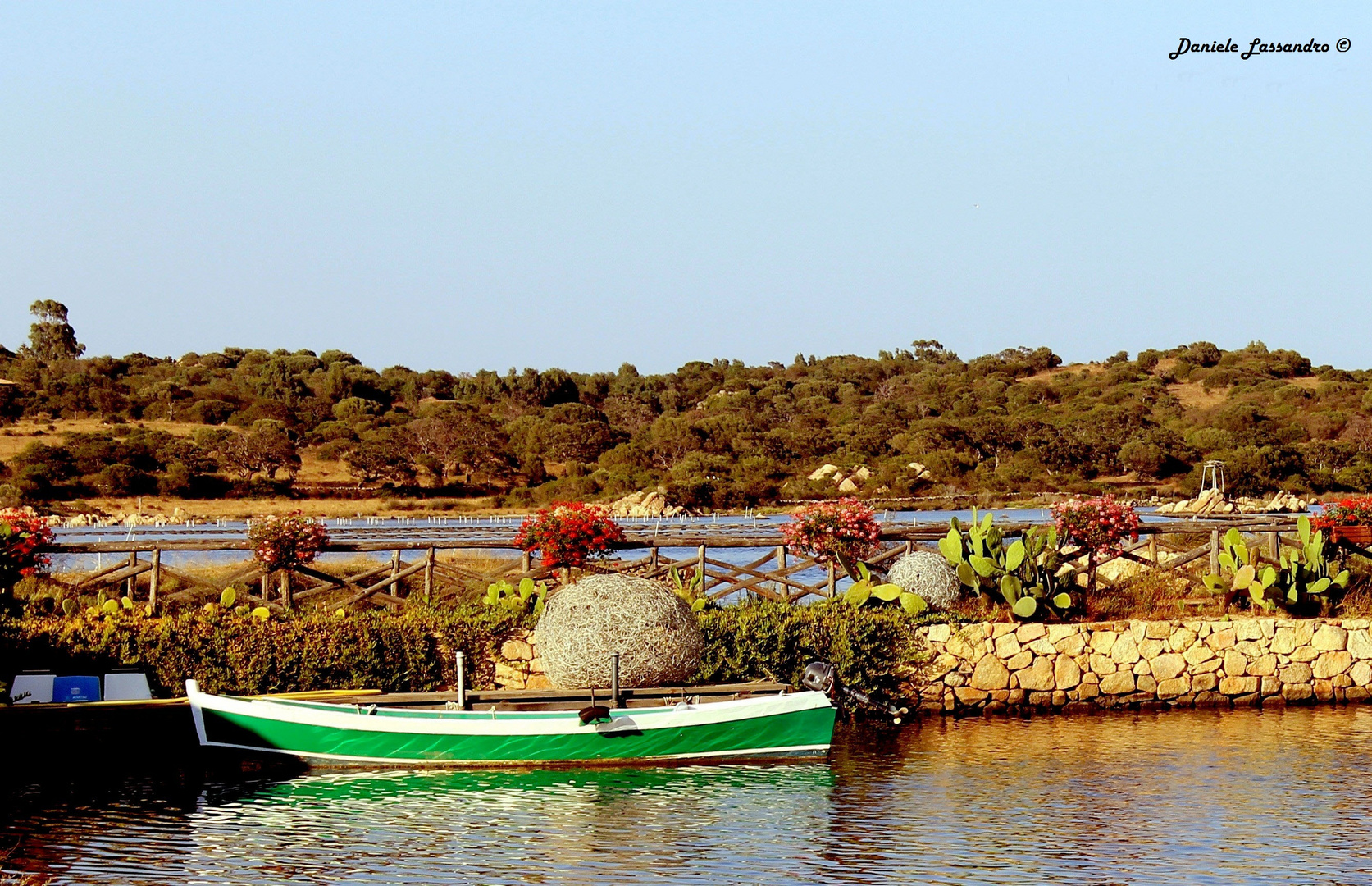 La barca e lo stagno