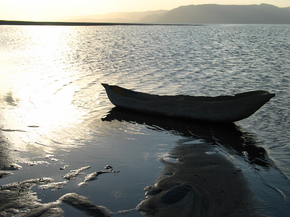 La barca