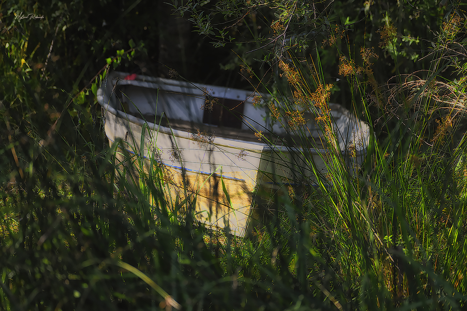 La barque abandonnée