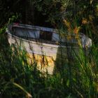 La barque abandonnée