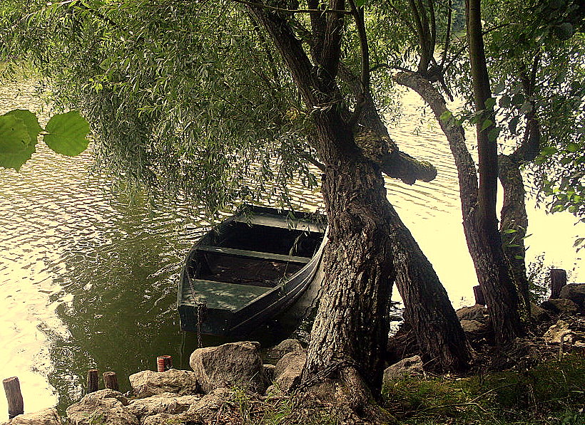 LA BARQUE ABANDONNEE