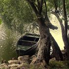 LA BARQUE ABANDONNEE