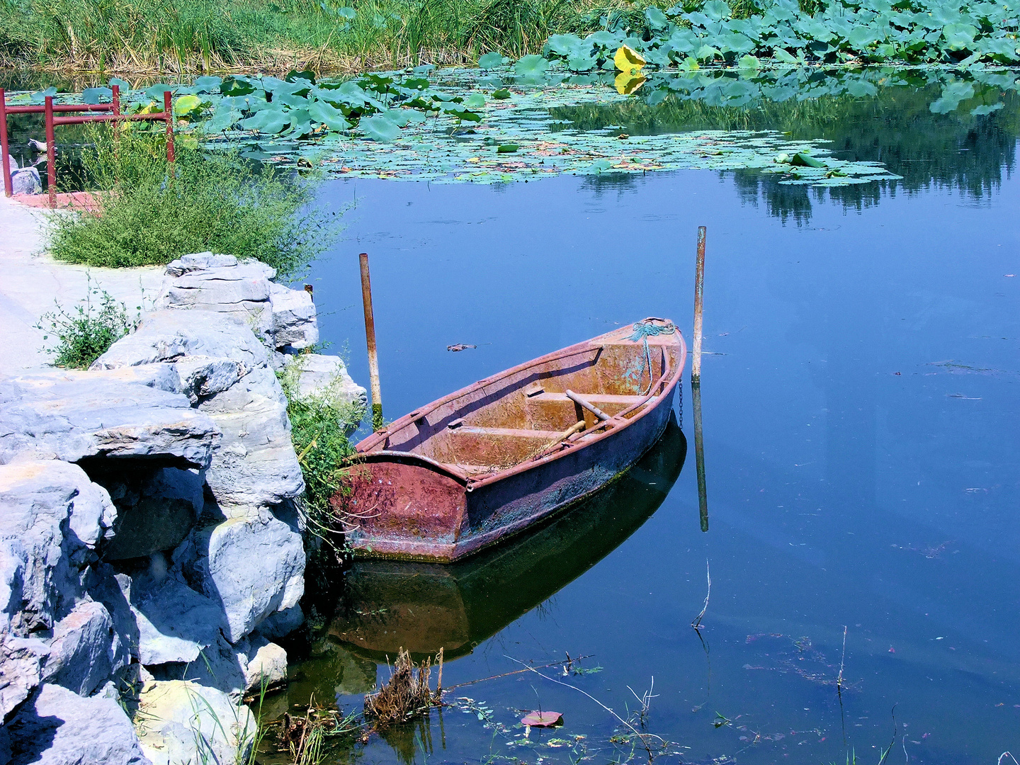 La barque aux nénuphars