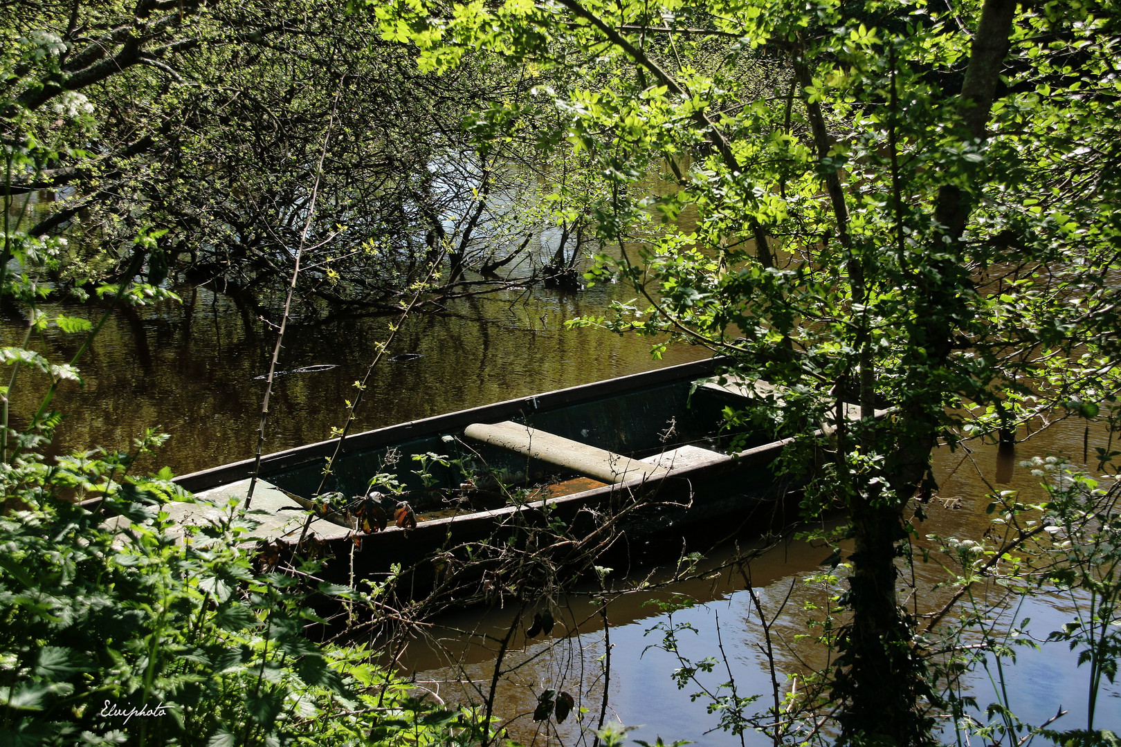 La barque bien dissimulée 