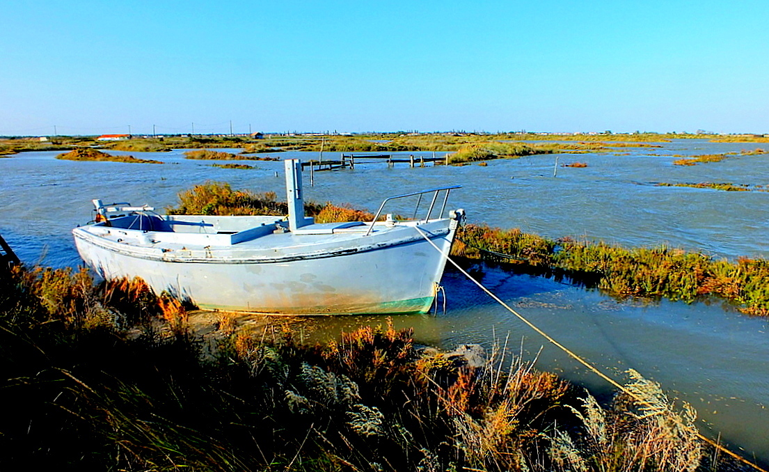 La barque bleue