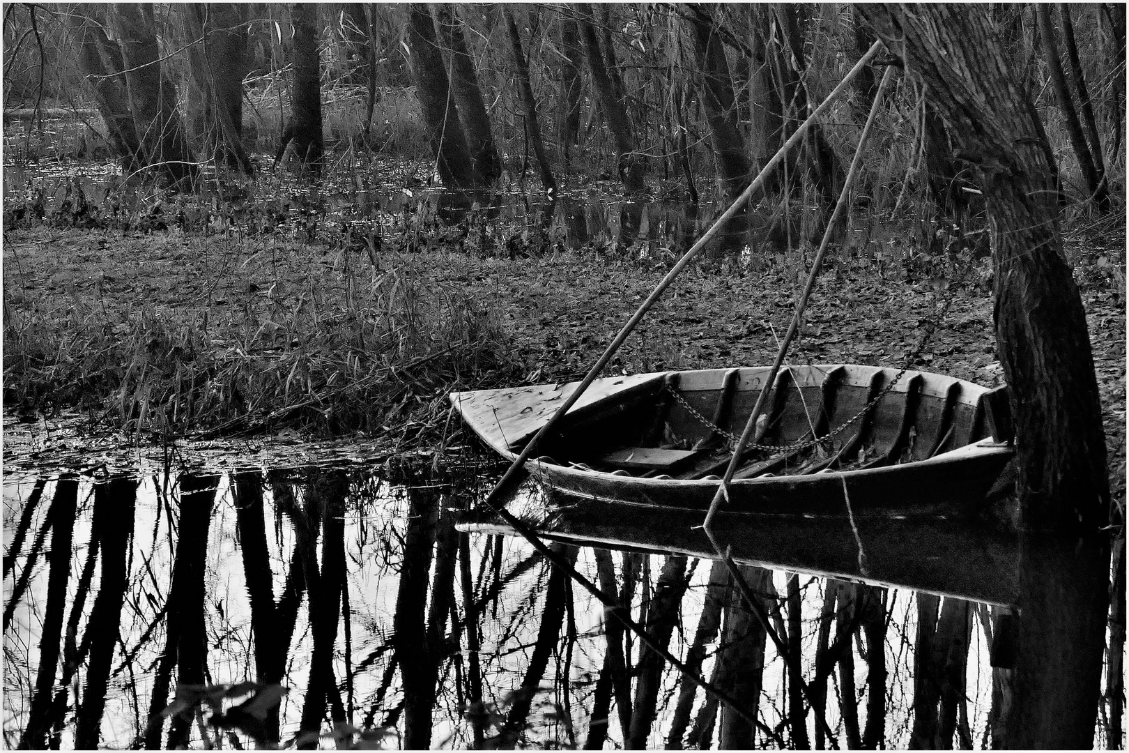 la barque de marais  au repos ....