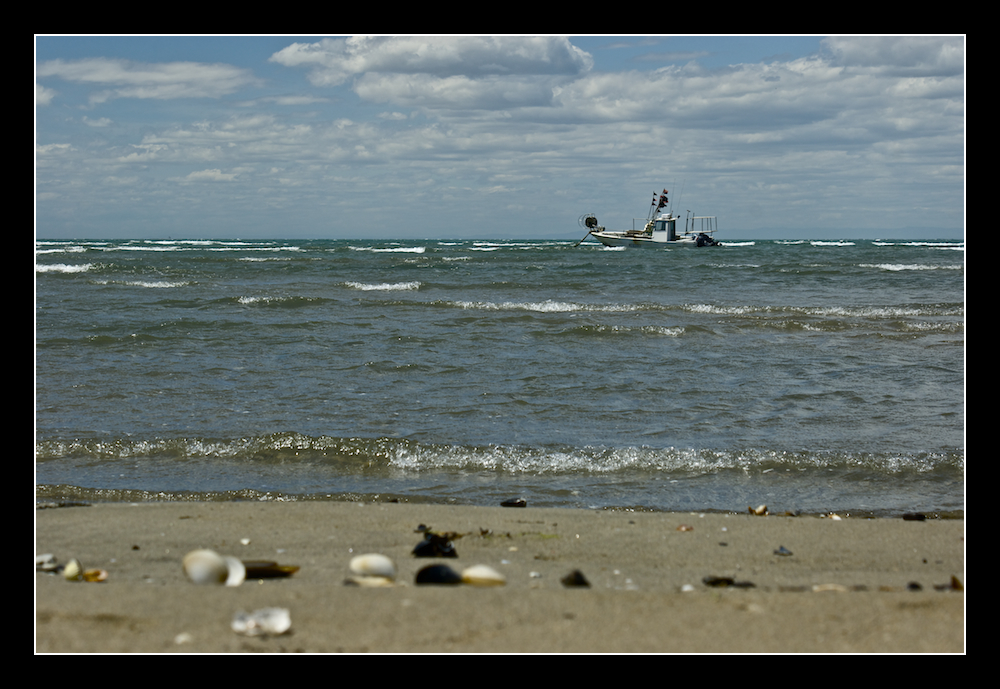 La barque de pêche