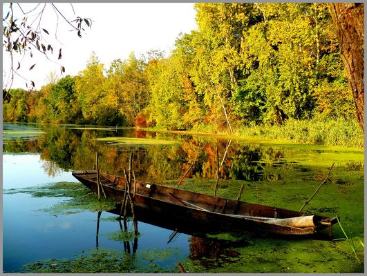 La barque plate dans son silence automnale ....