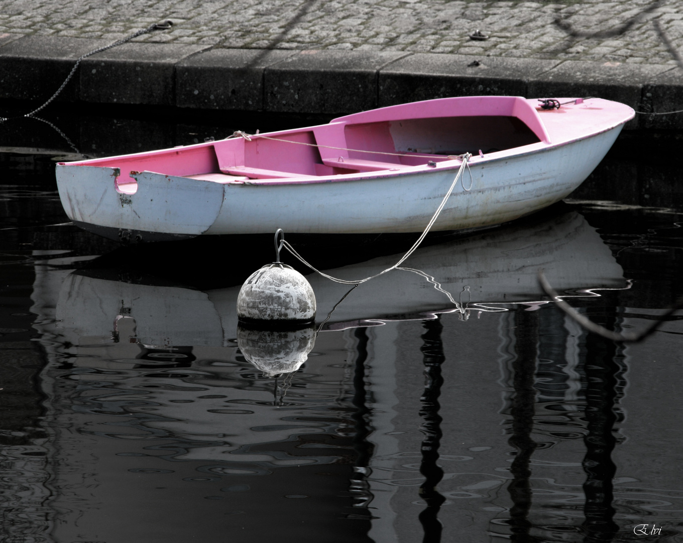 La barque rose