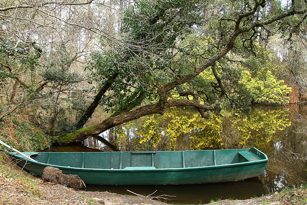 la barque verte !