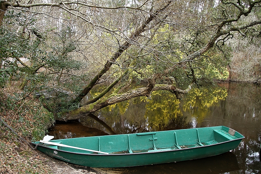 la barque verte !