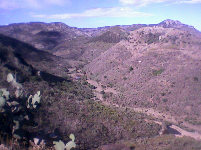 la barranca calvillo-los muñoz