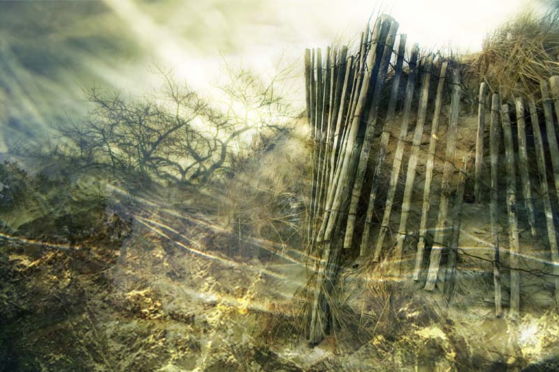 la barrière de l'arbre infini