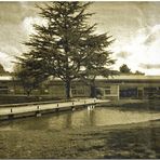 La bassa en vintage